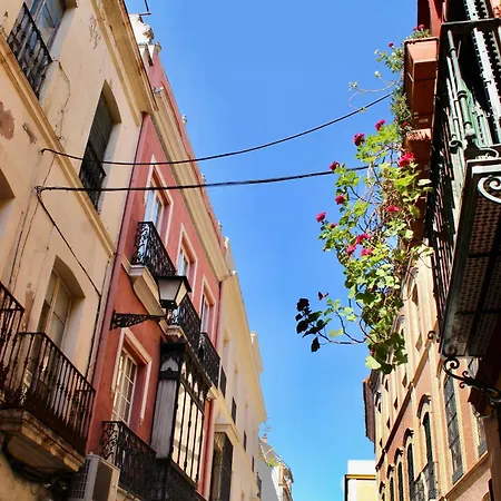 Appartement Wish Plaza Nueva